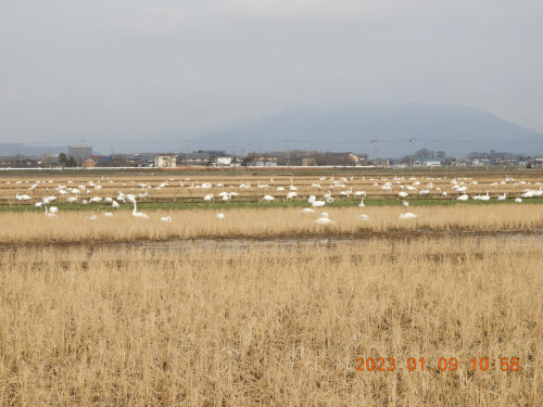 DSCN0975.JPG