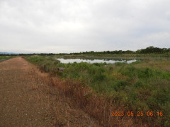 DSCN4898.JPG
