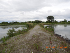 DSCN4975.JPG