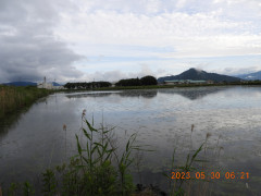 DSCN4977.JPG