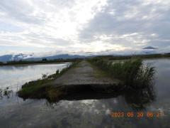 DSCN4978.JPG