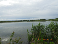 DSCN4979.JPG