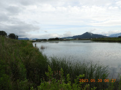 DSCN4980.JPG