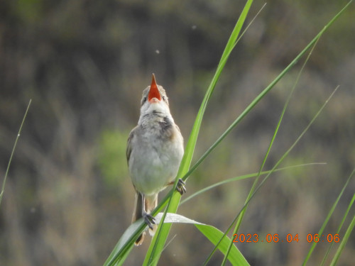 DSCN9895.JPG