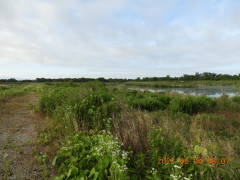 DSCN9899.JPG