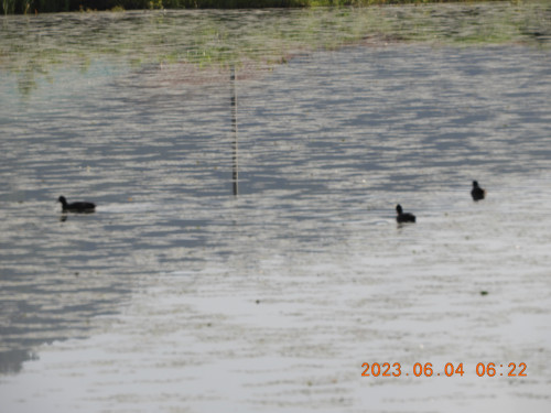 DSCN9908.JPG