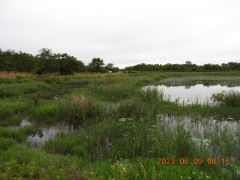 DSCN9929.JPG