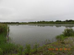 DSCN9931.JPG
