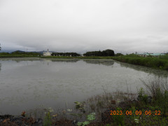 DSCN9933.JPG