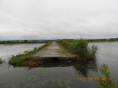 DSCN9939.JPG