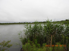 DSCN9940.JPG