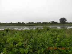 DSCN0019.JPG
