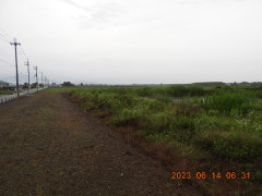 DSCN0029.JPG