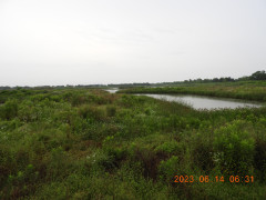 DSCN0030.JPG