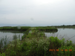 DSCN0045.JPG