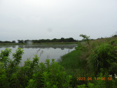 DSCN0046.JPG