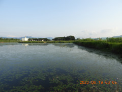 DSCN0089.JPG