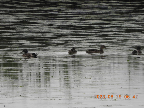 DSCN0210.JPG