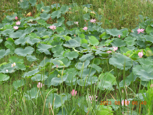 DSCN5378.JPG