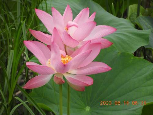 DSCN5377.JPG