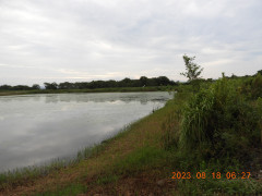 DSCN5370.JPG