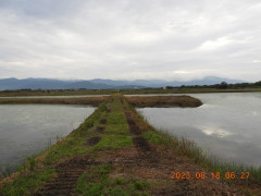 DSCN5369.JPG