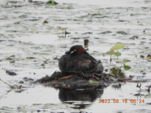 DSCN5367.JPG