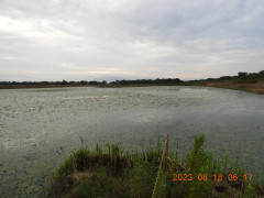 DSCN5361.JPG
