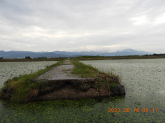 DSCN5360.JPG