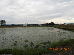 DSCN5356.JPG