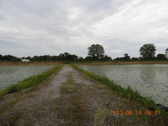 DSCN5355.JPG