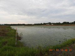 DSCN5354.JPG