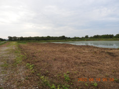 DSCN5349.JPG