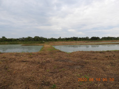 DSCN5350.JPG