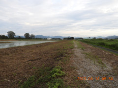 DSCN5351.JPG