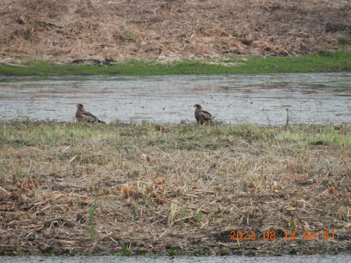 DSCN5352.JPG