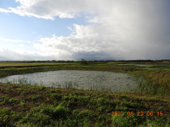 DSCN5439.JPG