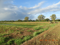 DSCN5440.JPG