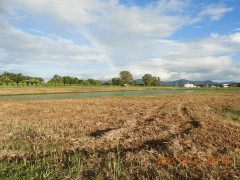DSCN5444.JPG