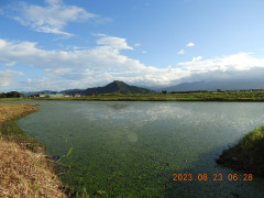 DSCN5445.JPG