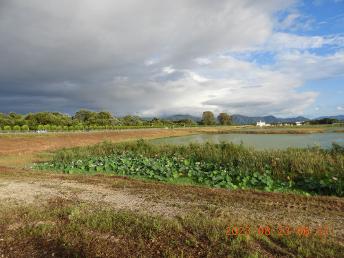 DSCN5446.JPG