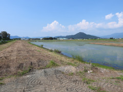DSCN8858.JPG
