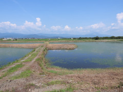 DSCN8859.JPG