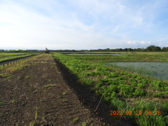 DSCN5479.JPG
