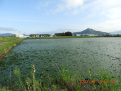 DSCN5484.JPG