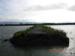 DSCN5485.JPG