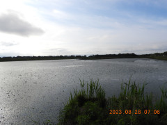 DSCN5486.JPG