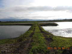 DSCN5493.JPG