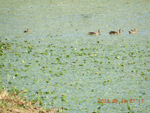DSCN5495.JPG
