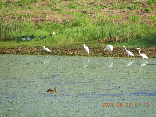 DSCN5496.JPG